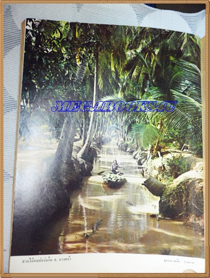 นิตยสาร อ.ส.ท.ปีที่11 ฉบับที่03 ตุลาคม 2513 ฉบับแนะนำฉะเชิงเทรา ปกน้องนางบ้านนา