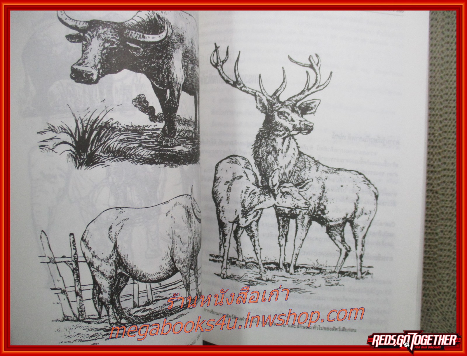 วาดเขียน DRAWING เขียนโดย อภิศักดิ์ บุญเลิศ