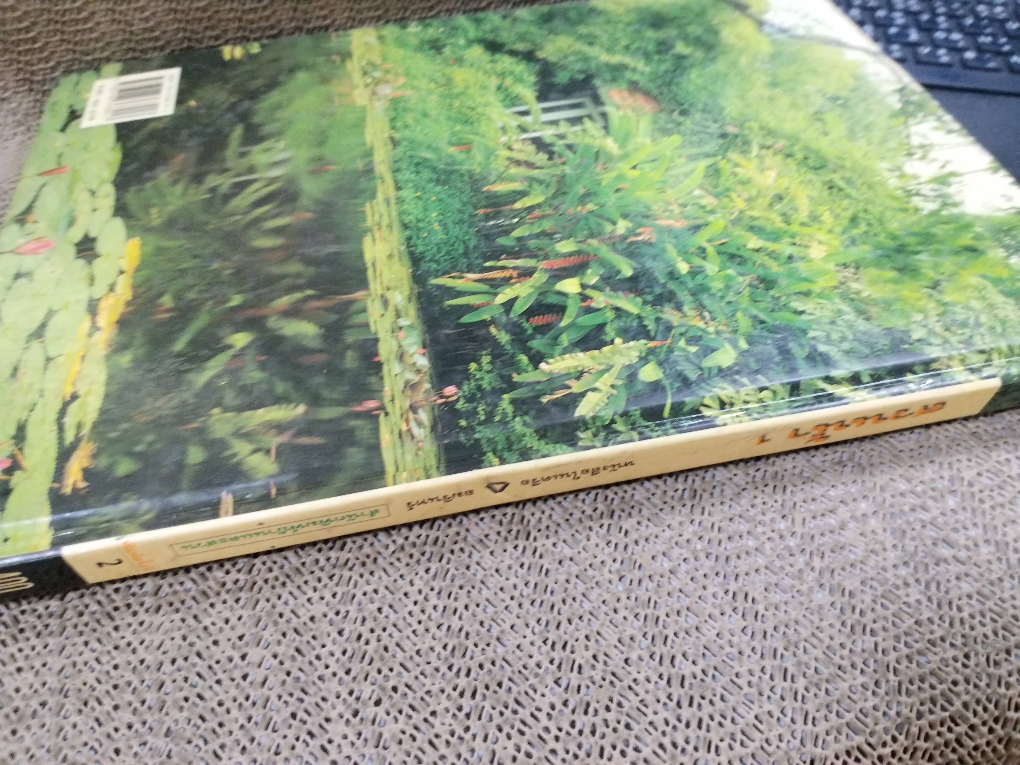 หนังสือ บ้านและสวน ฉบับ สวนน้ำ 1