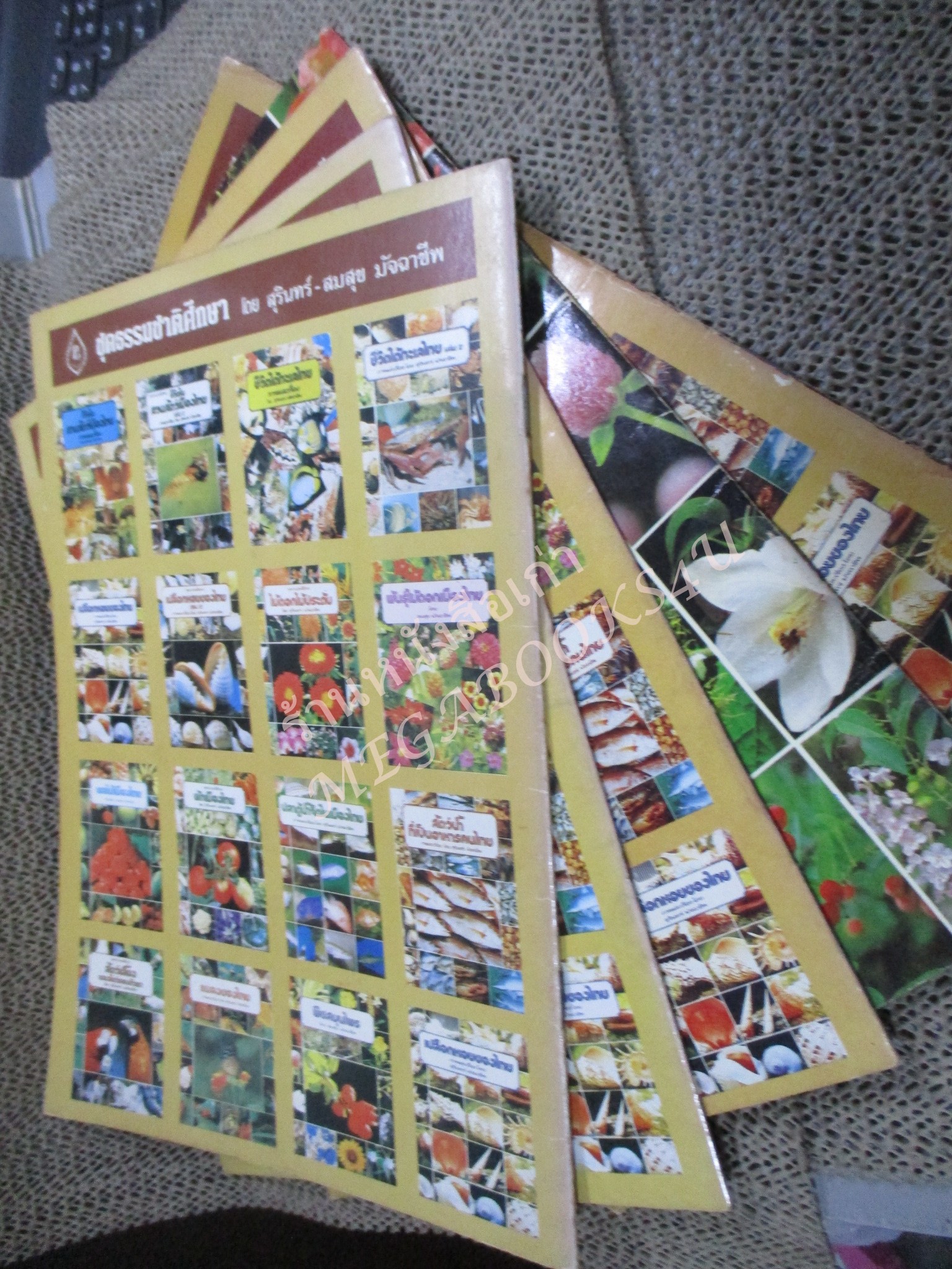 ธรรมชาติศึกษาชุด พืชสมุนไพร เล่ม 1-4 / พืชมีพิษ 1 เล่ม ทั้งหมด 5 เล่ม - สมสุข มัจฉาชีพ