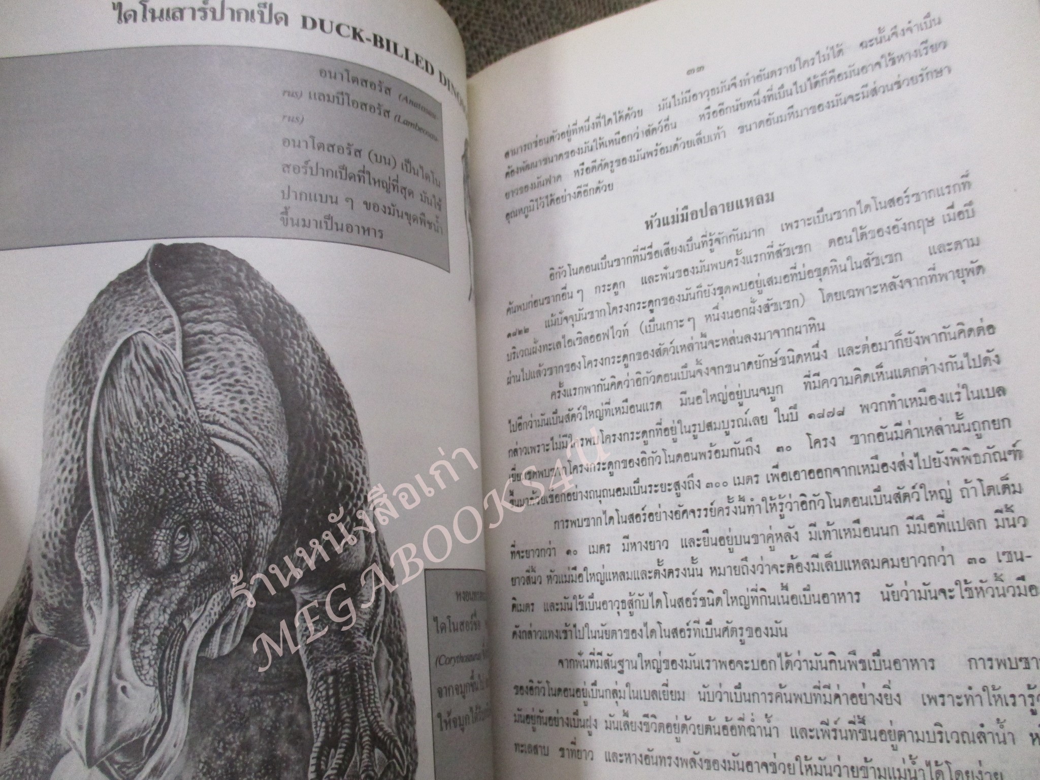 โลกยุคดึกดำบรรพ์ / โรงเรียนส่งเสริมวิชาชีพฯ / สภาพดี / แผ่นรองปกมีคราบน้ำนิด