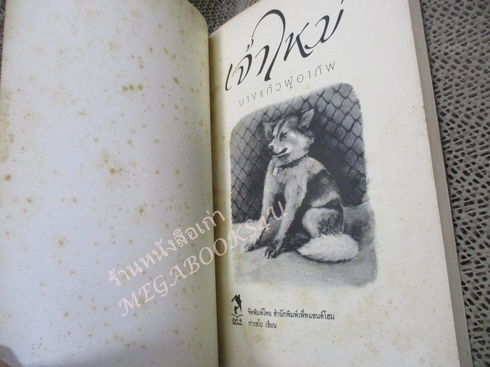 เจ้าใหม่ บางแก้วผู้อาภัพ ผู้เขียน กาเซโบ ภาพประกอบ ชมพูนุท ศรีพินิจ / หนังสือบ้าน สภาพดี กระดาษมีจุดเหลืองประปราย