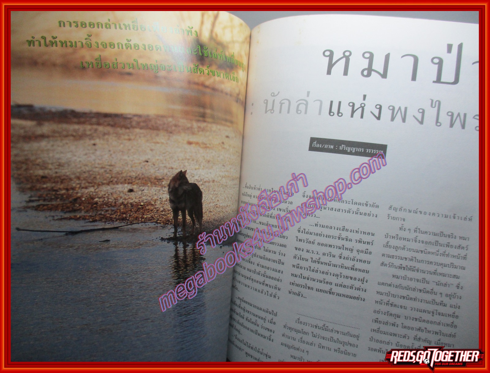 นิตยสารสารคดี ฉบับที่161 ปี2541 ฝนเทียม การซ่อมหนังสือเก่า หมาป่า