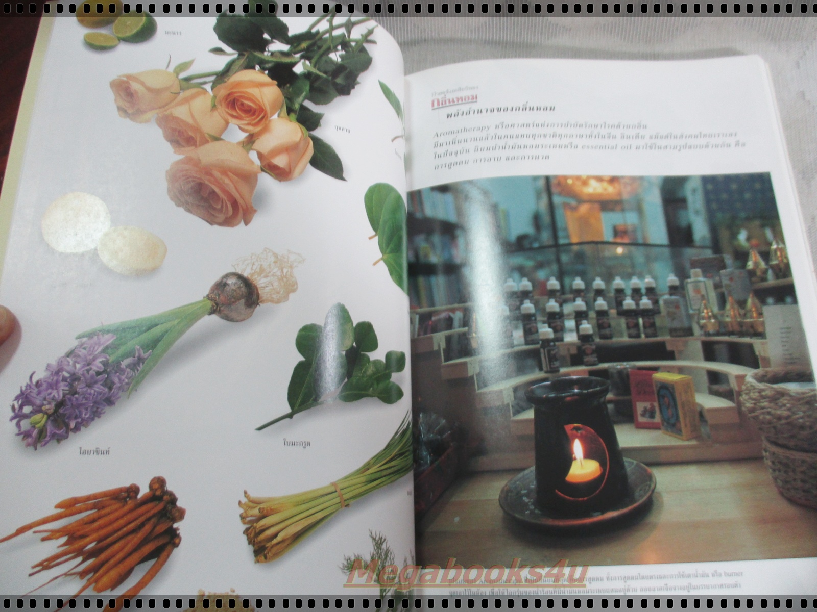 นิตยสารสารคดี ฉบับที่154 ธันวาคม 2540 กลิ่นหอม,แทสเมเนีย,นกหัวโตมลายู,ภูหินร่องกล้า