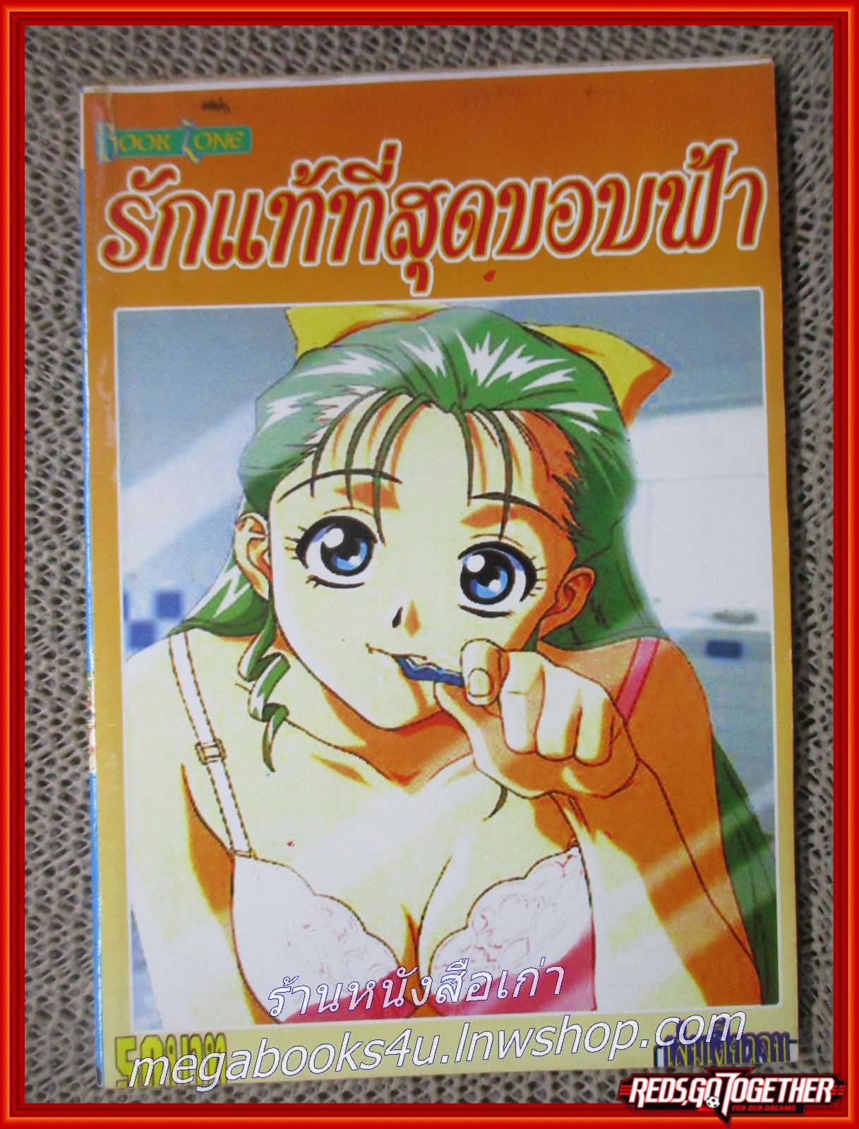 การ์ตูนบ้าน รักแท้ที่สุดขอบฟ้า เล่มเดียวจบ สภาพดี สภาพ A-