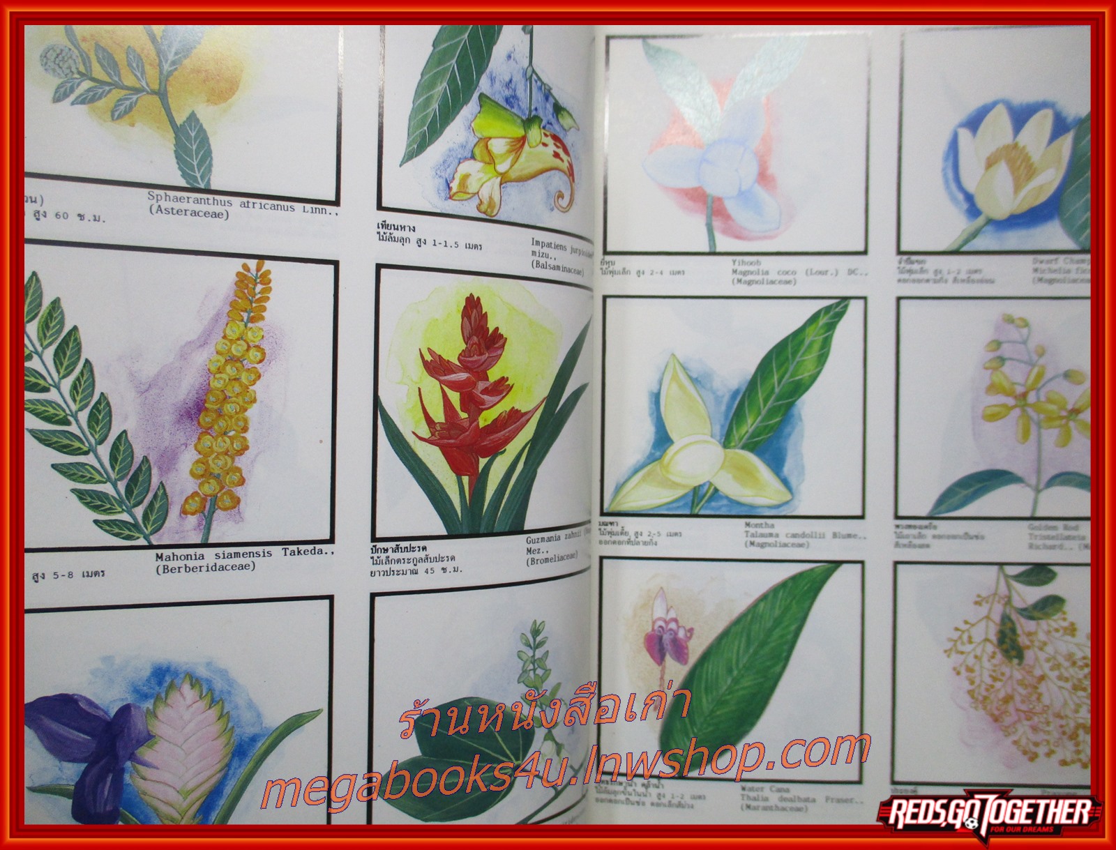 พจนานุกรม ไม้ดอกไม้ประดับในเมืองไทย / ดร. วิทย์ เที่ยงบูรณธรรม / สภาพดี ปกหน้ามุมด้านล่างมีรอยแมลงเจาะ ปกช้ำนิด