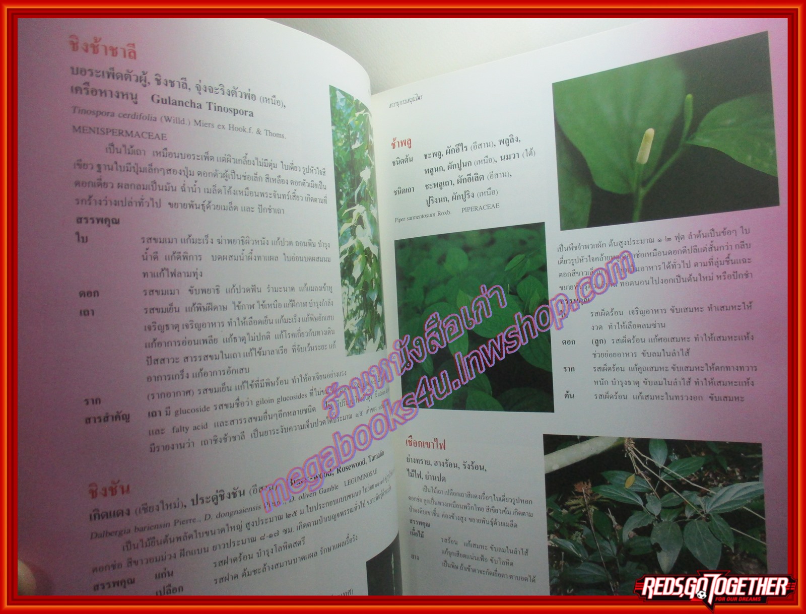 ร่วมอนุรักษ์มรดกไทย สารานุกรมสมุนไพร รวมหลักเภสัชกรรมไทย โดย วุฒิ วุฒิธรรมเวช ปกแข็ง หนาใหญ๋