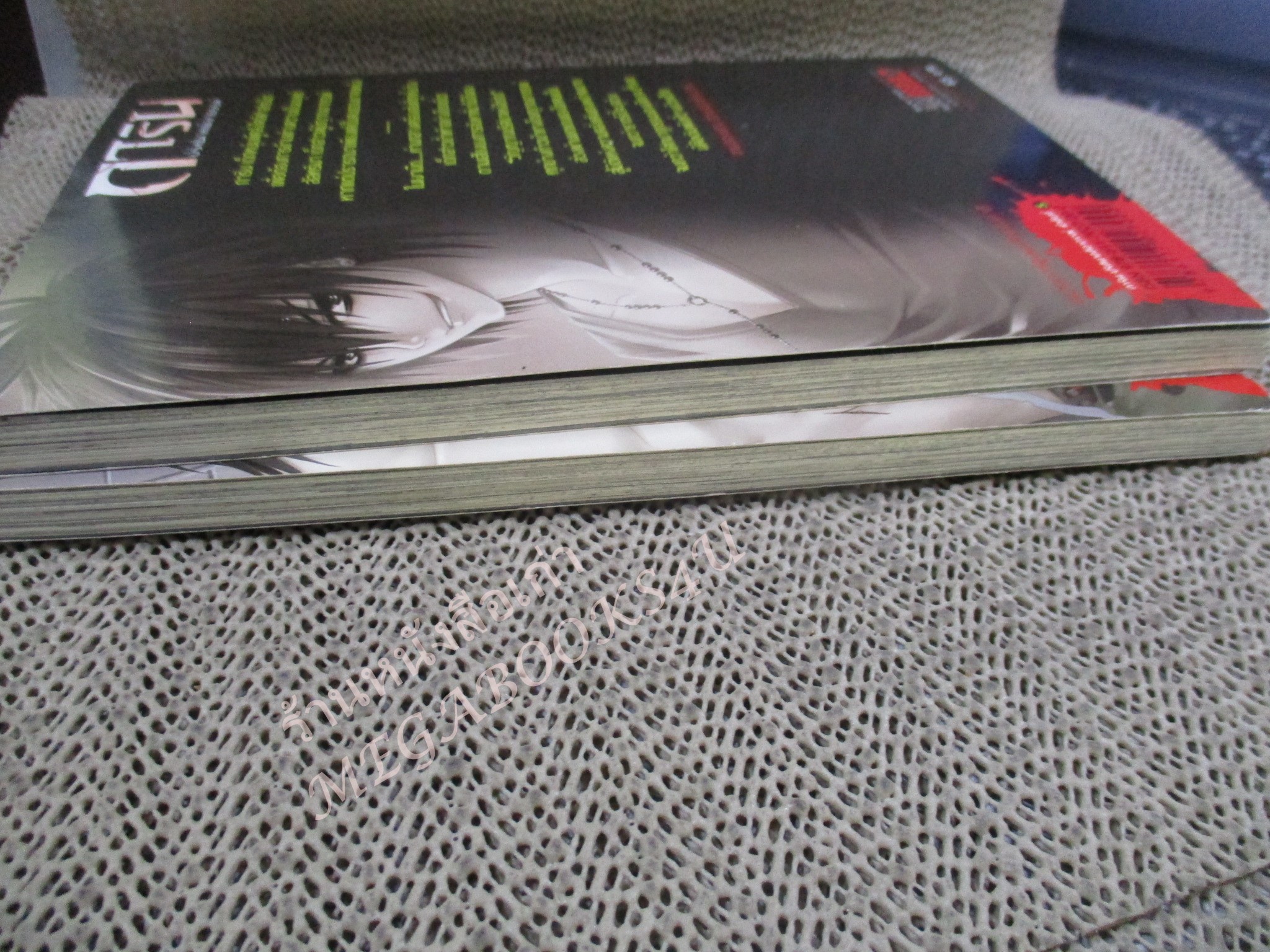 การ์ตูน การิน ปริศนาคดีอาถรรพ์ ภาค คดีที่ 3 เกมลองของ สวนสนุกต้องสาป (ภาคแรก+ภาคจบ รวม2เล่ม) / อัยย์ / Punica /