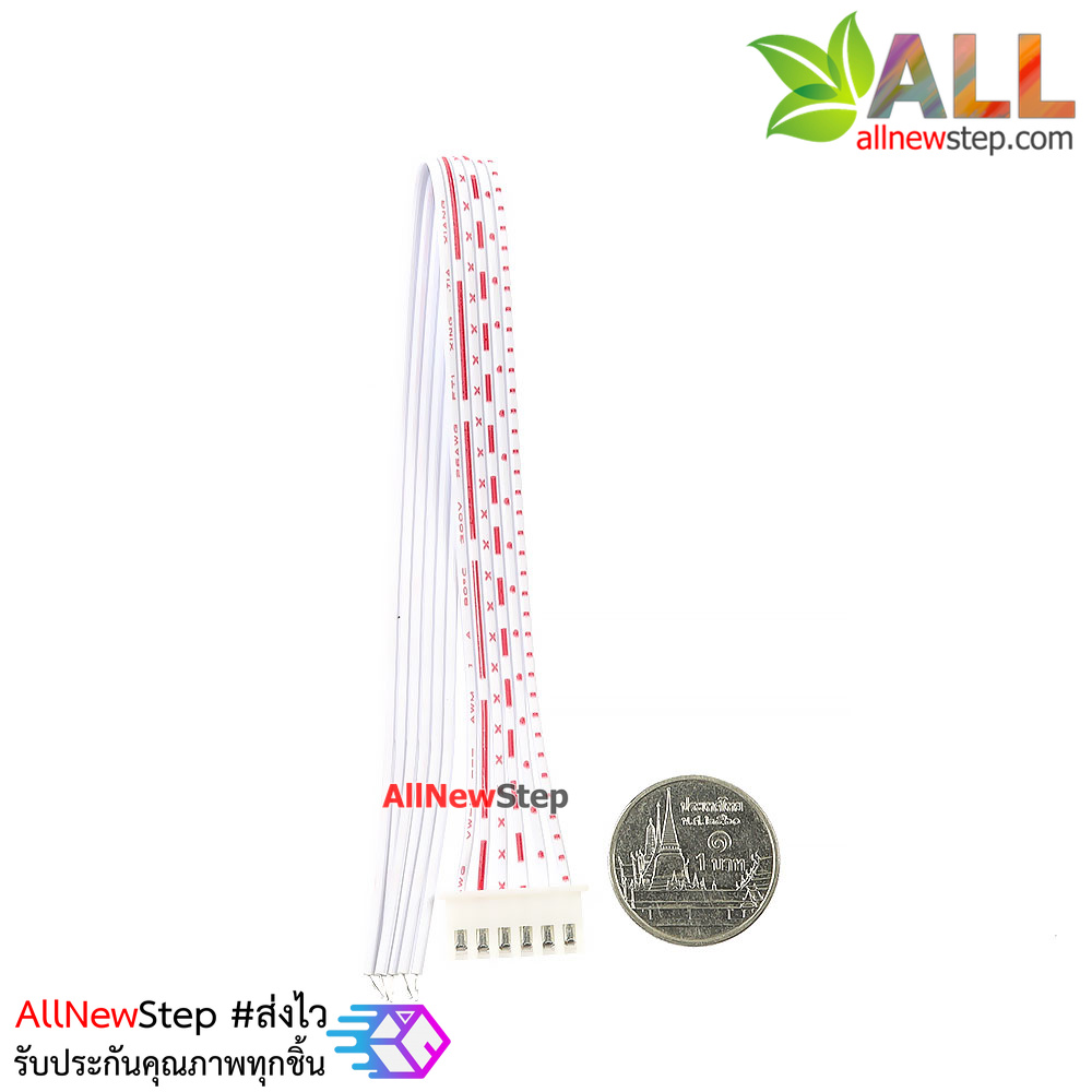 สายแพ 6P ตัวเมีย single head line 20CM ระยะห่าง 2.54mm