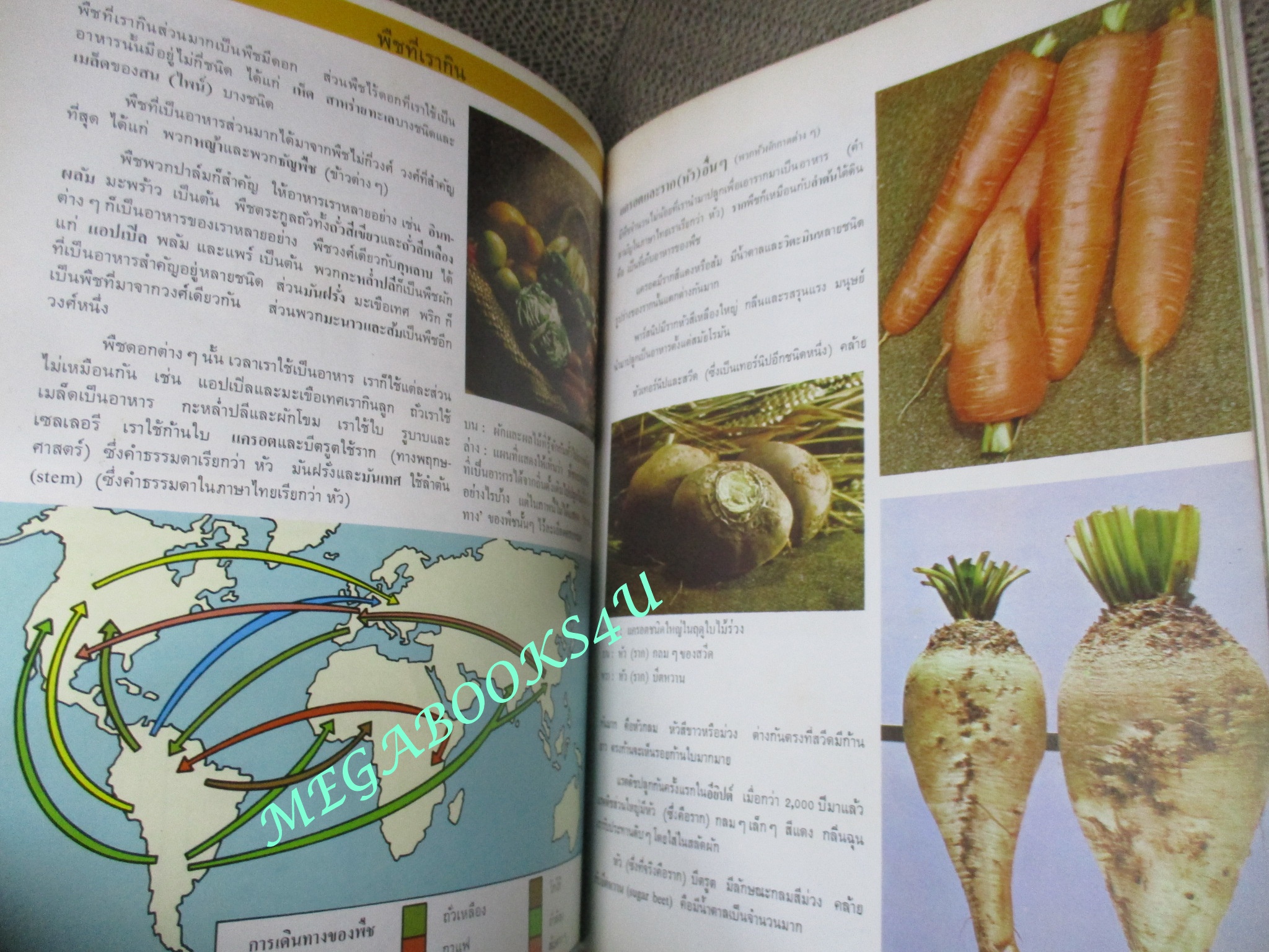 หนังสือ สารานุกรม โลกของเรา เล่ม3 พืช (หนังสือจากห้องสมุด มีประทับตราเล็กๆ)