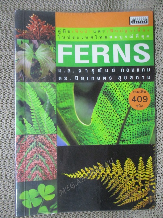 FERNS คู่มือ เฟินป่า และ เฟินปลูกเลี้ยงในประเทศไทย โดย ม.ล.จารุพันธ์ ทองแถม (มือสอง) (สภาพ85-95%)