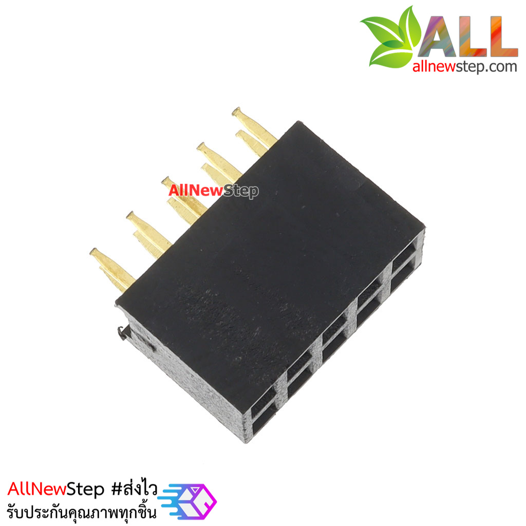 2.54mm pitch female double row female socket 2x5 pin