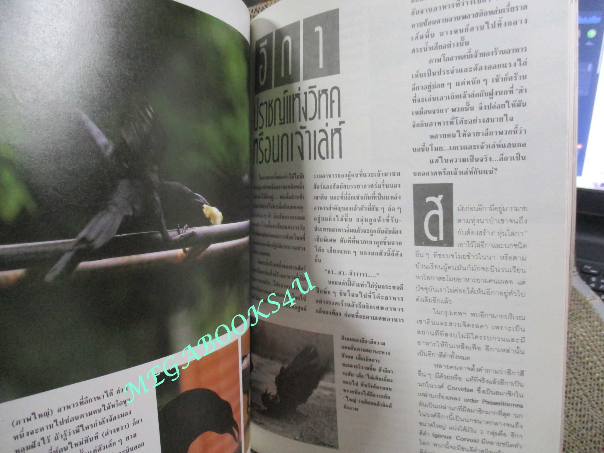 นิตยสารสารคดี ฉบับที่032 ปี2530 วัดเส้าหลิน เมืองจีน อีกา