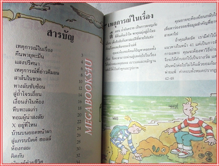 หนังสือเด็กชุดผจญภัยไขปริศนา อาถรรพ์ดวงตาแห่งดีม่อน เขียนโดย คาเรน ดอลบี้ สภาพปานกลาง