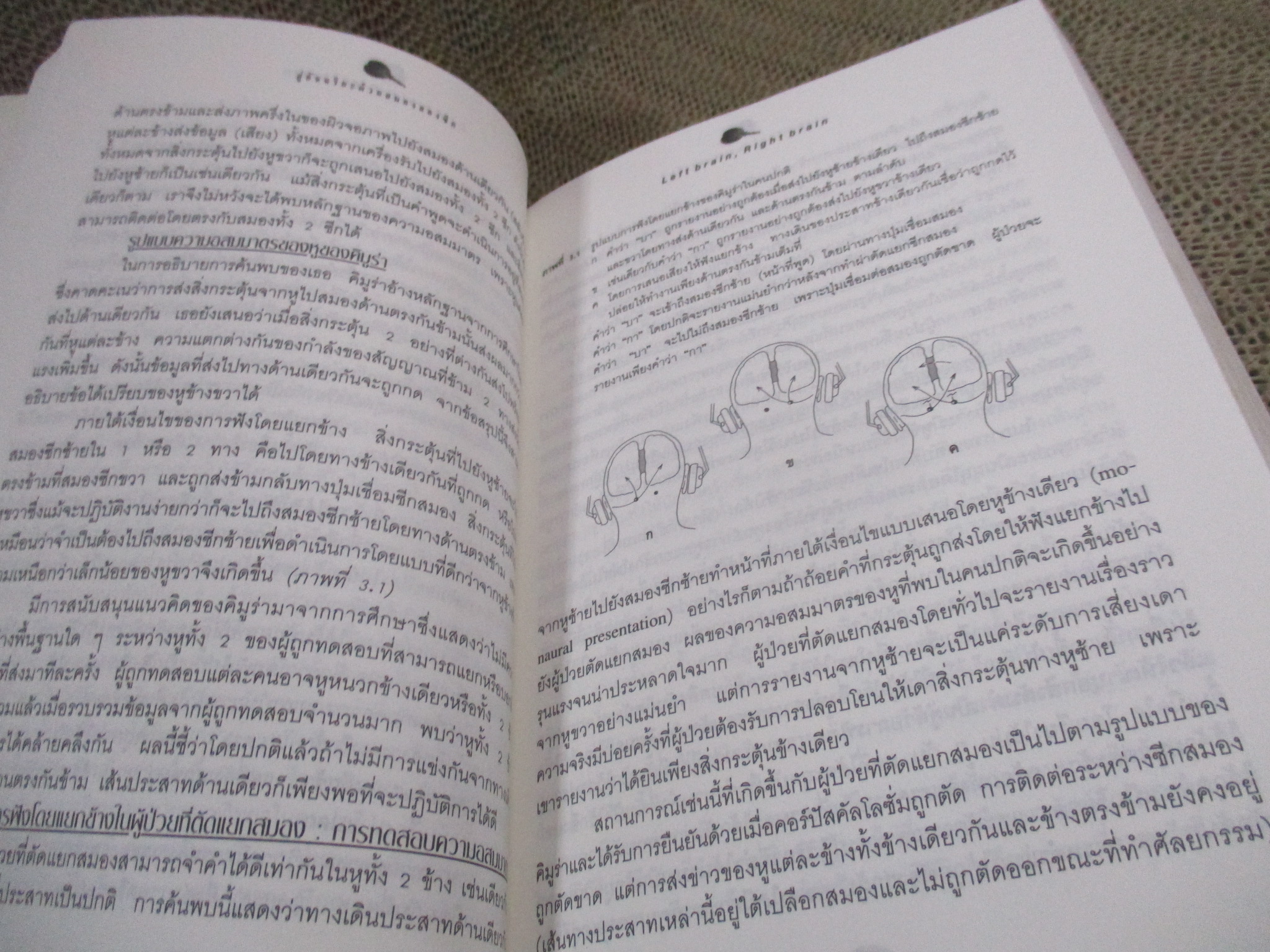 สู่อัจฉริยะด้วยสมองสองซีก / ซอลลี พี สปริงเกอร์ และจอร์จ ดัตช์ / ผู้แปล นายแพทย์ สันต์ สิงหภักดี