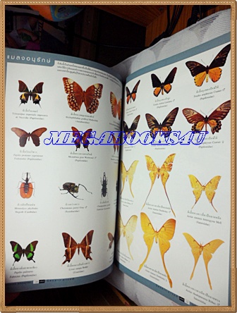 นิตยสารสารคดี ฉบับที่198 สิงหาคม 2544 สุริโยทัย,บานาเว,นักอนุกรมวิธานแมลง,ทีลอซู,