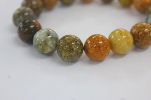 โอเชี่ยนแจสเปอร์ ( Ocean Jasper )