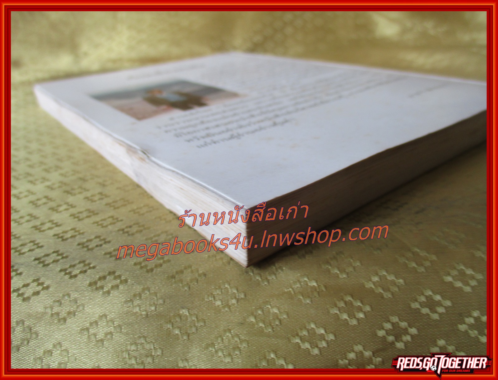 เยี่ยมเมืองมะกัน โดย ขจัดภัย บุรุษพัฒน์ สภาพดี