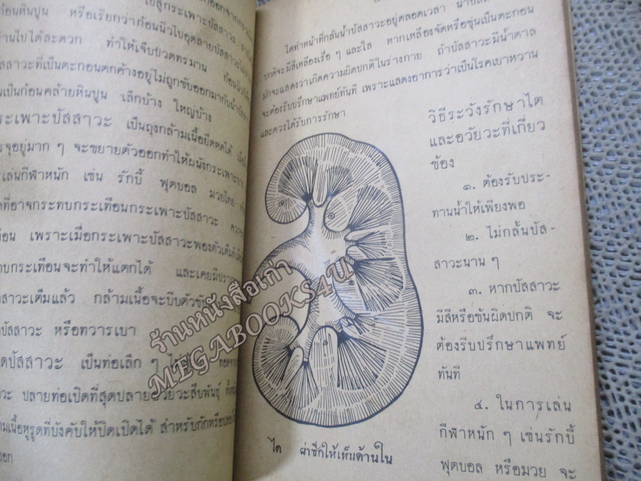 แบบเรียนพลานามัย วิชาสุขศึกษา ชั้นประถมปีที่ 7