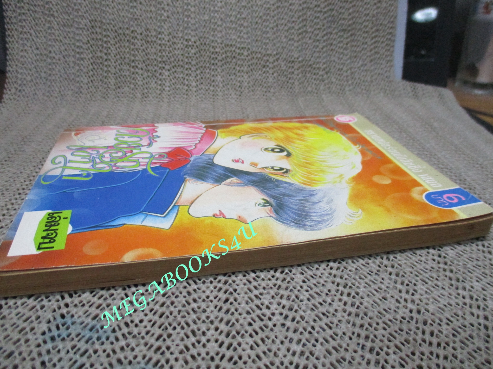 การ์ตูนบ้าน ด้วยรักและเข้าใจ เล่มจบ อวสาน / สยามฯ