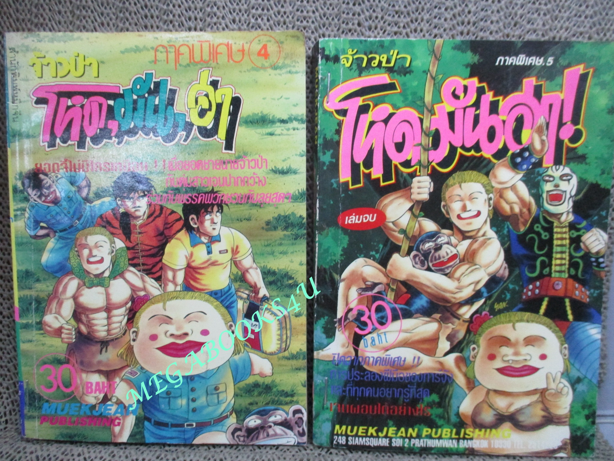 การ์ตูนบ้าน จ้าวป่า โหด มัน ฮา ภาคพิเศษ 5เล่มจบครบชุด สนพ.หมึกจีน (เช่า สวย ติดแม็กซ์ ไม่มีประทับตรา)