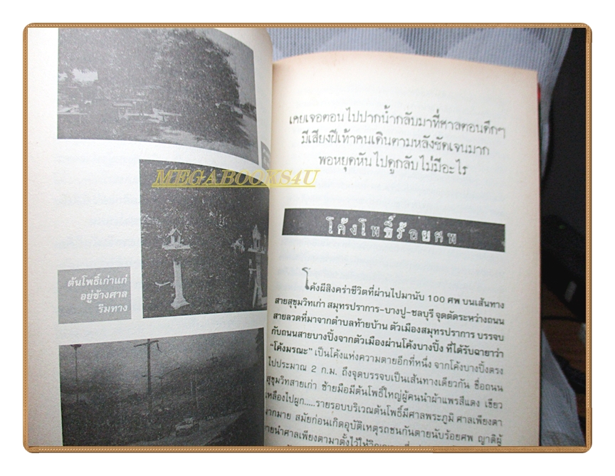 ผีเฝ้าถนน โดย ตีรธรรม