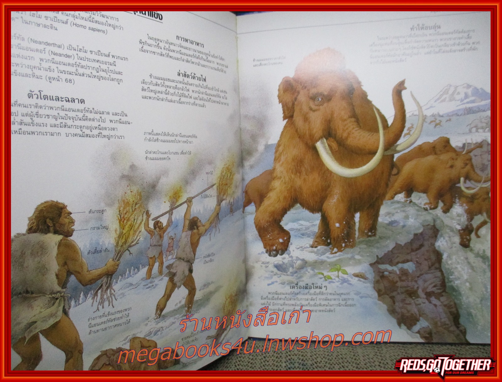 โลกยุคก่อนประวัติศาสตร์ Prehistory World / สนพ. ปาเจรา