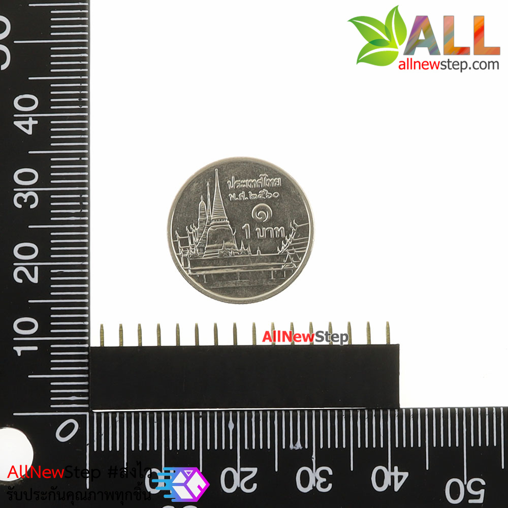 1X16 Pin 16P Single Row Female Header 2.54mm pitch straight จำนวน 1 ชิ้น