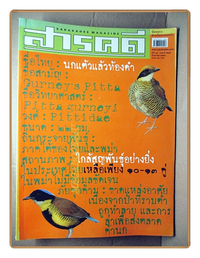 นิตยสารสารคดี ฉบับที่222 ปีที่19 สิงหาคม 2546 นกแต้วแร้วท้องดำ,สังเวชนียสถาน,พระอธิการเอนก สวนส้ม,ดูผีเสื้อ,