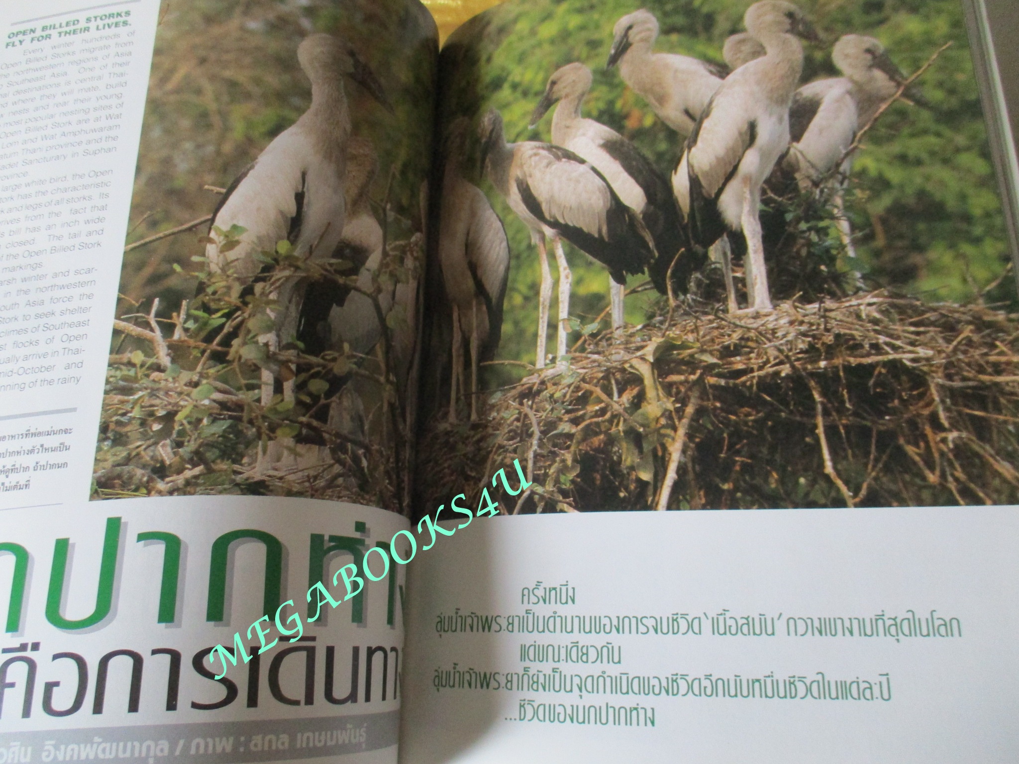 นิตยสารสารคดี ฉบับที่074 เมษายน 2534 สภาพดี คนชรา นกปากห่าง เขื่อนปากมูล ลพบุรี