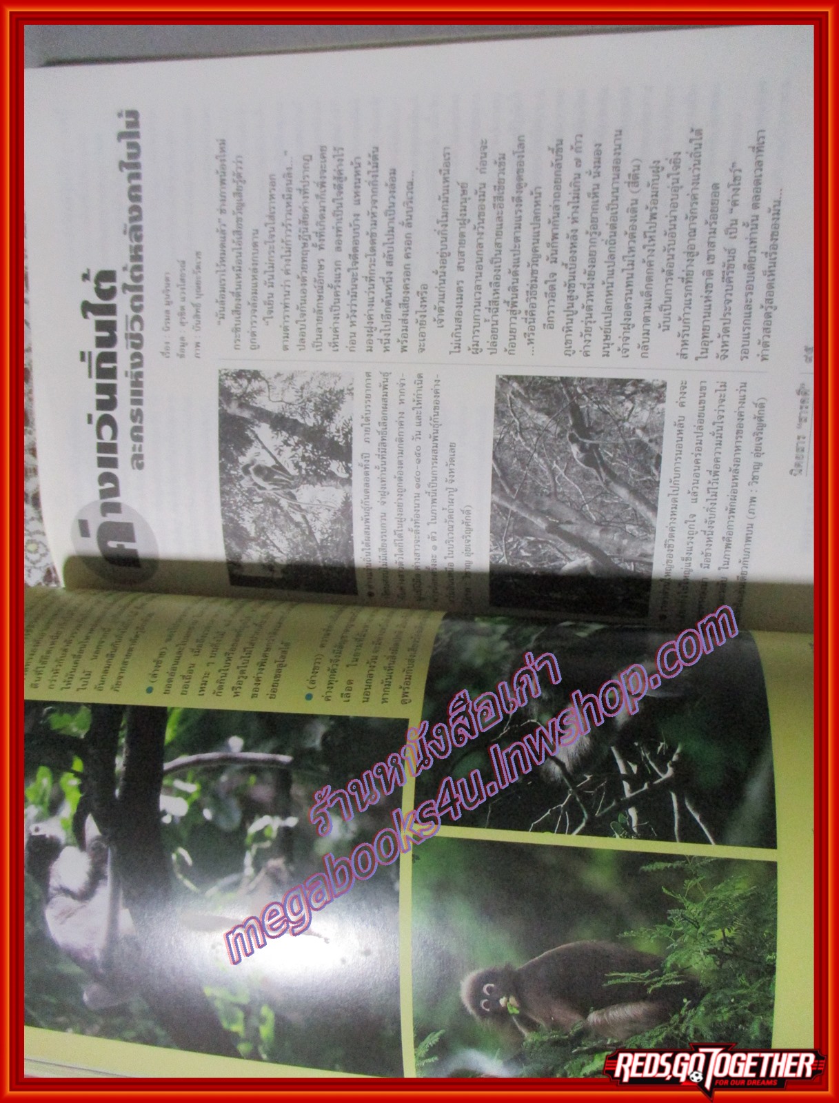 นิตยสารสารคดี ฉบับที่114 สิงหาคม 2537 ค่างแว่นถิ่นใต้ ข่มขืน หมอยาพื้นบ้าน ระนอง