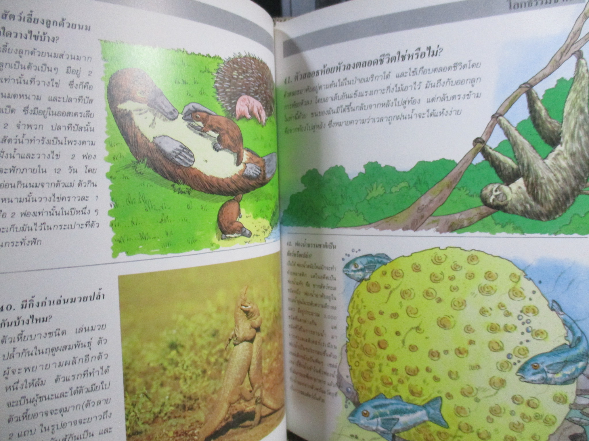 โลกของธรรมชาติ คุณเชื่อหรือไม่? สารานุกรมเยาวชน / ซูเปอร์ไอคิว