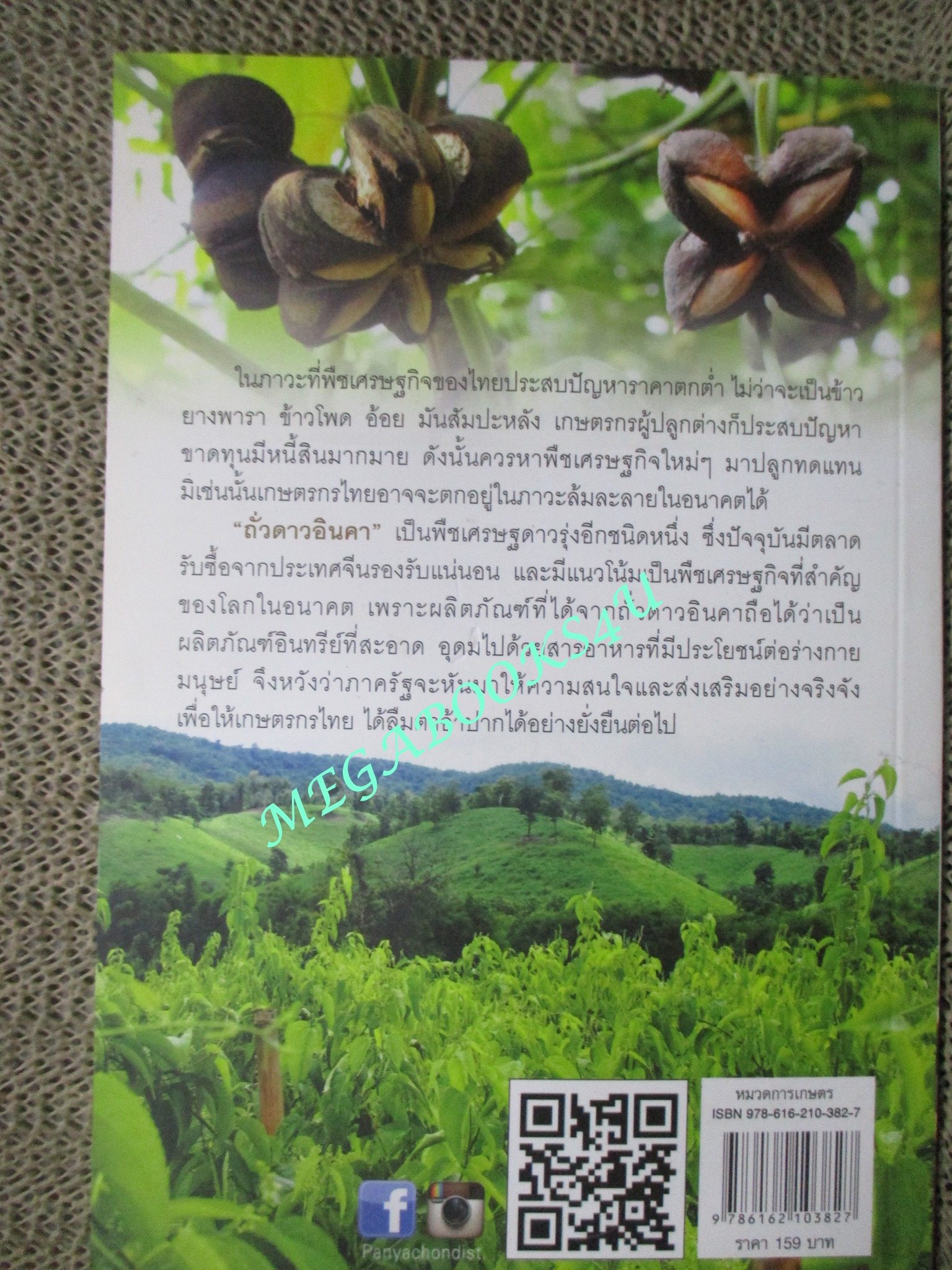 หนังสือ ถั่วดาวอินคา โอเมก้าบนดิน ผู้เขียน พินิจ จันทร (หนังสือมือสอง) (สภาพ 80-95%)