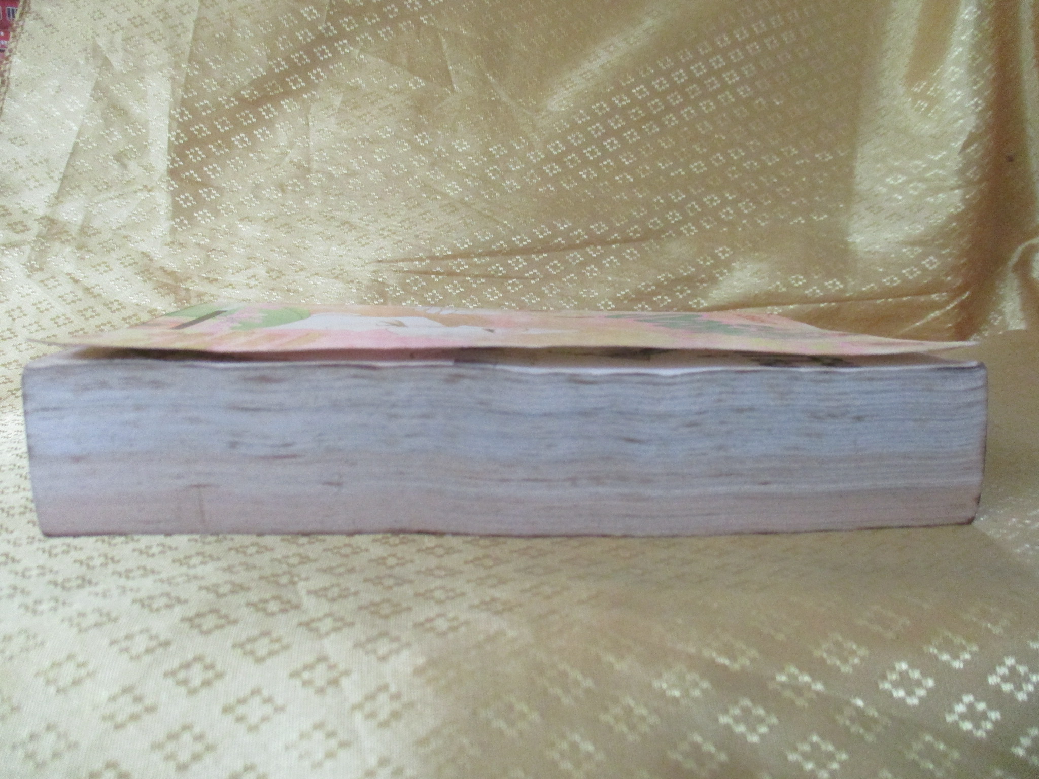 การ์ตูนบ้าน รอรักสาวซากุระ เล่มเดียวจบ โดย xxx สนพ.หมึกจีน