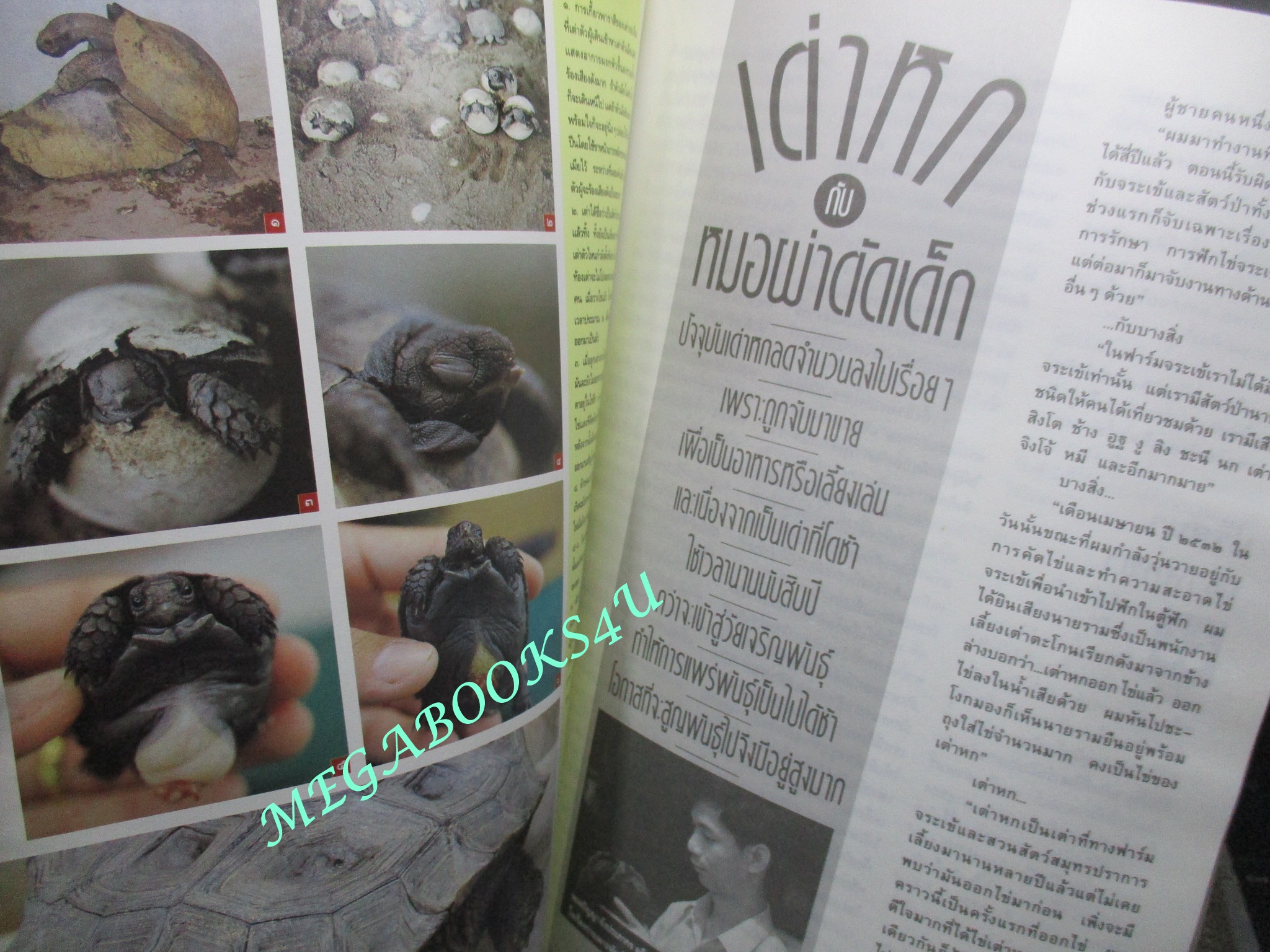 นิตยสารสารคดี ฉบับที่080 ปีที่07 ต.ค. 2534, ลิเก,ผีตองเหลือง,เต่าหก,เที่ยวอ่างทอง, ตำหนิ ตัวหนังสือแบะออก ซ่อมโดยการติดกาว อ่านได้ตามปกติ