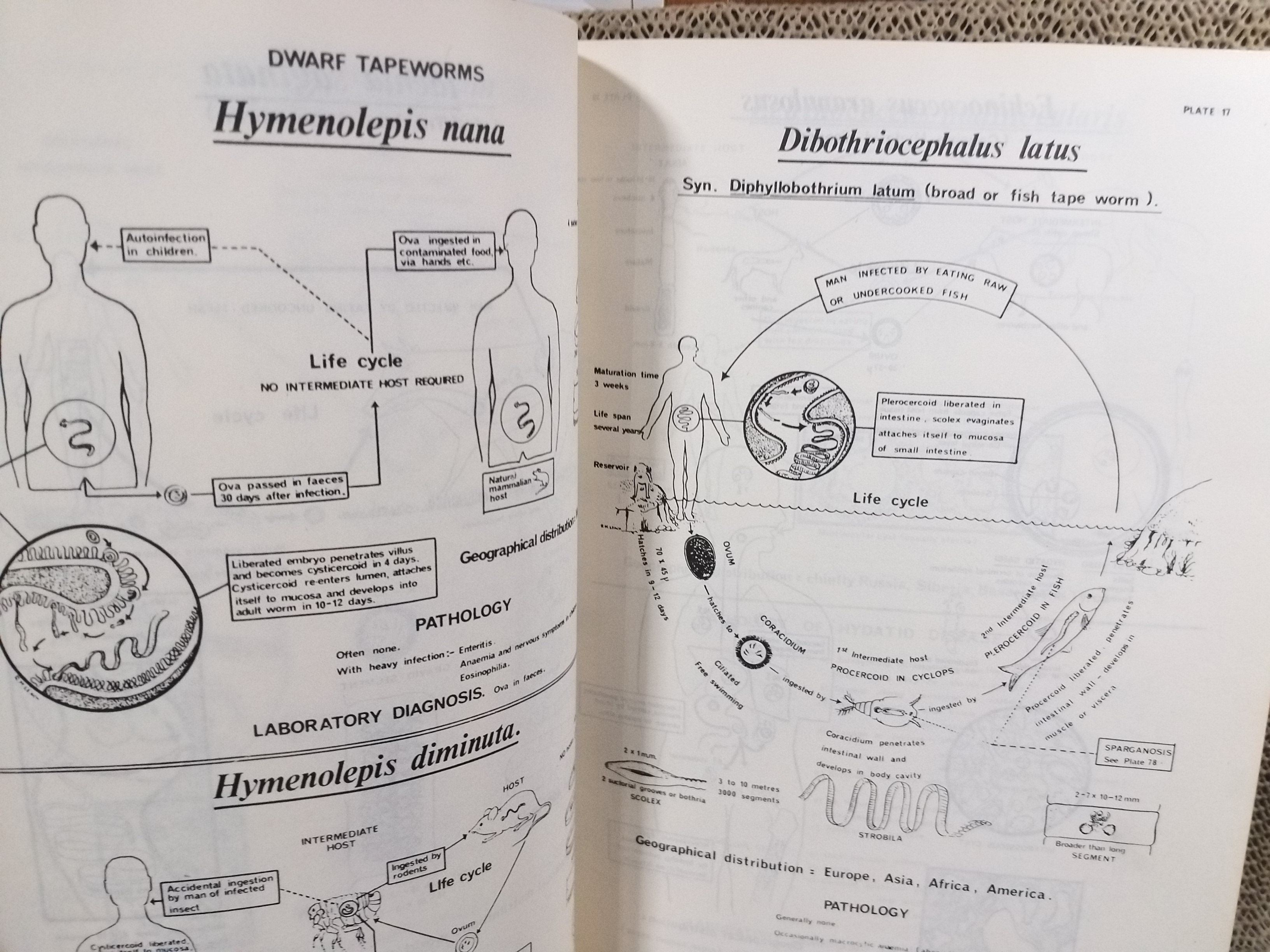 ATLAS OF MEDICAL HELMINTHOLOGY & PROTOZOOLOGY /ตำราแพทย์ ปรสิตหนอนพยาธิทางการแพทย์ โปรโตซัวทางการแพทย์