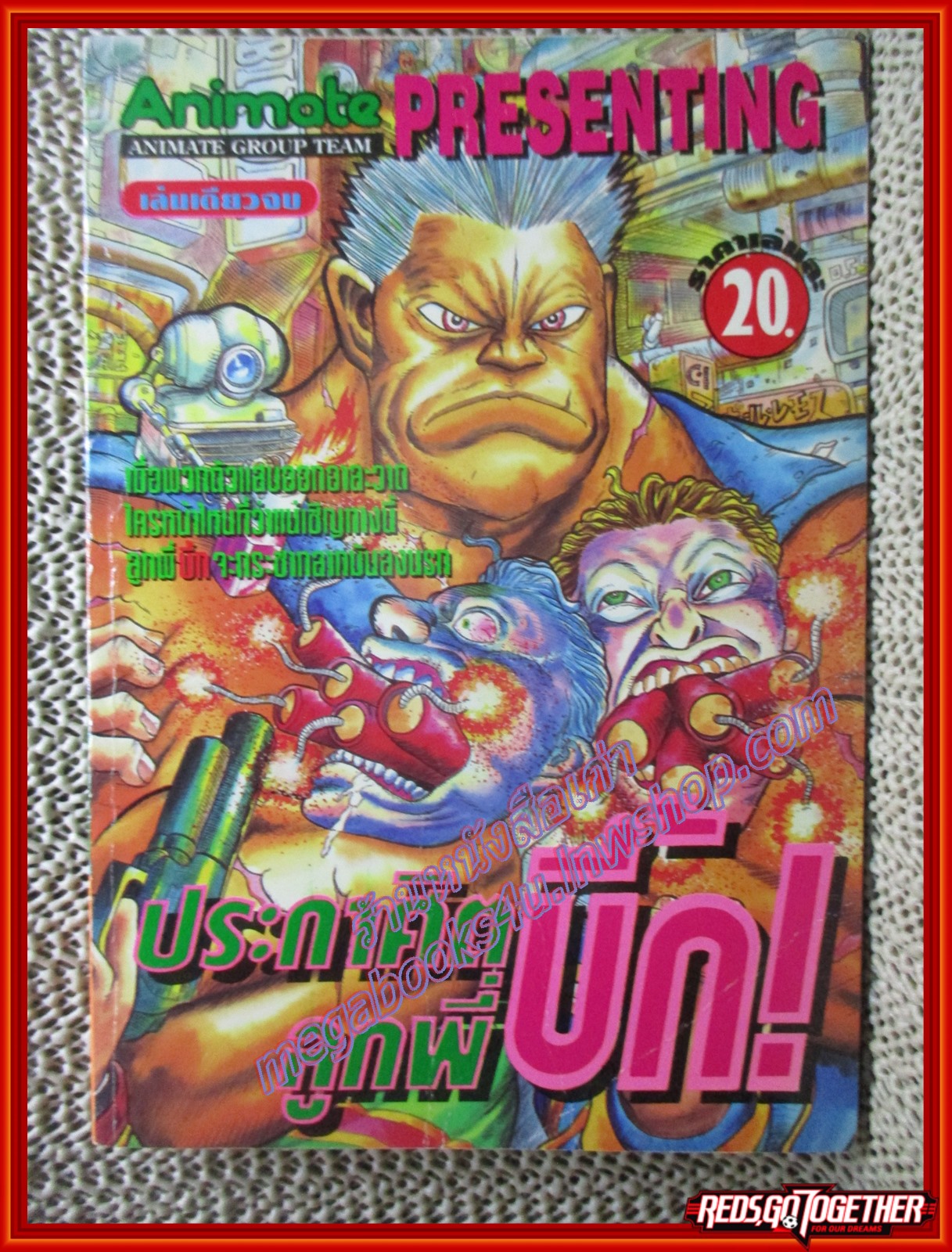 การ์ตูนบ้าน ประกาศิตลูกพี่บิ๊ก เล่มเดียวจบ สนพ.ANIMATE