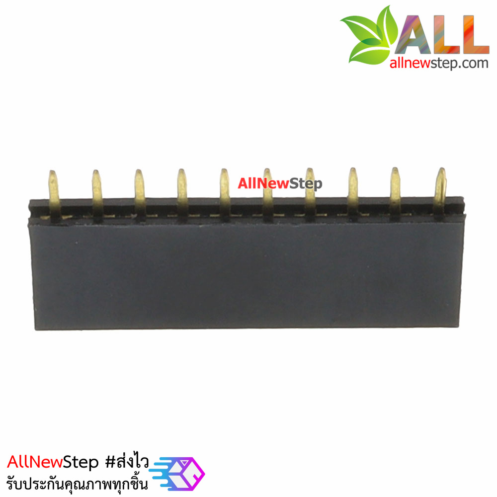 Pin header Single row 10p female 1x10P spacing 2.54mm จำนวน 1 ชิ้น