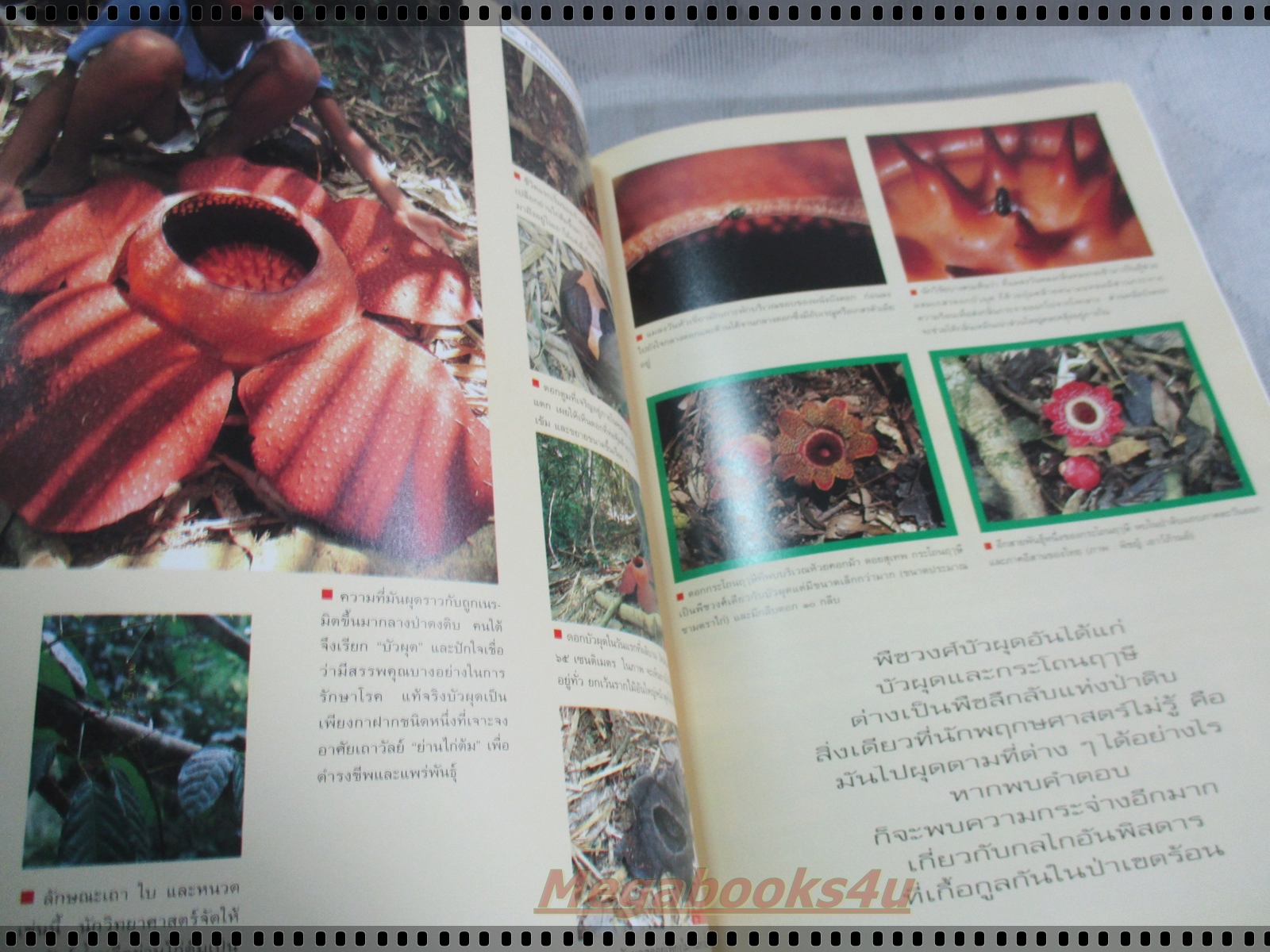 นิตยสารสารคดี ฉบับที่122 ปีที่11 เมษายน 2538;บัวผุด,เอดส์,อิสราเอล,อุทัยธานี,