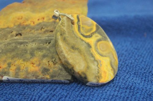 บัมเบิ้ลบี แจสเปอร์ (Bumble Bee Jasper )