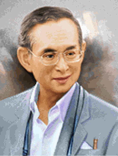 Pinn ในหลวง ร.๙