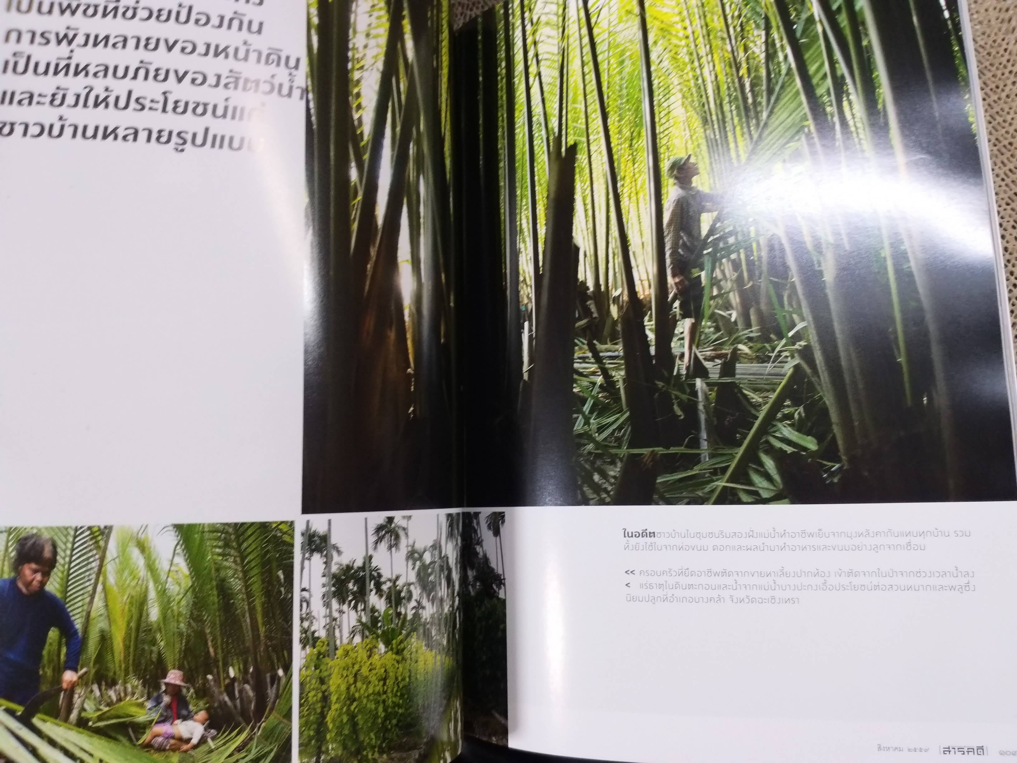 นิตยสารสารคดี ฉบับที่378 ปี2559 บางปะกง / แห่เทียนทางน้ำ