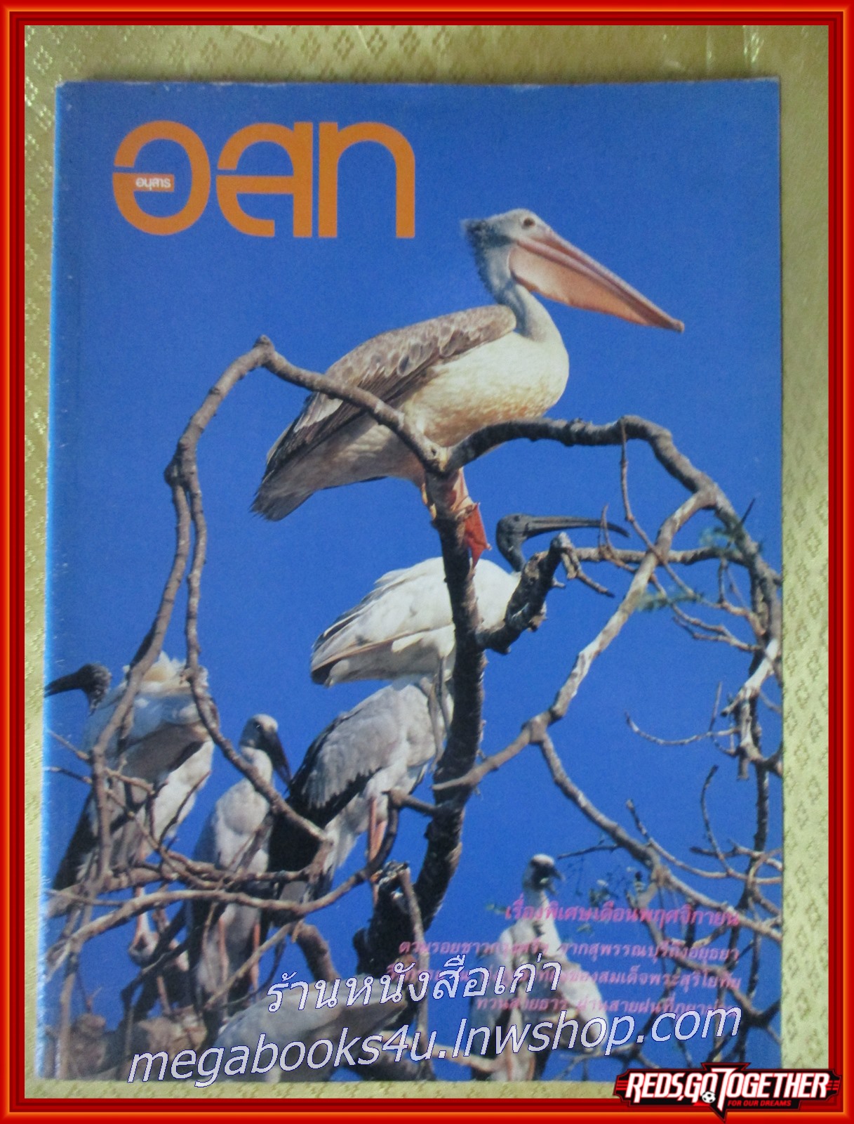 นิตยสาร อ.ส.ท. ปีที่32 ฉบับที่04 พ.ย. 2534 ฉบับ กรุงศรีอยุธยา พระศรีสุริโยทัย