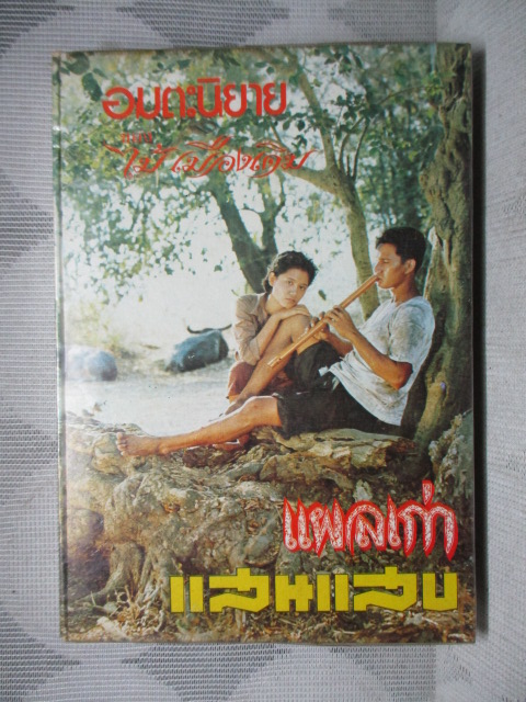 แผลเก่า , แสนแสบ ฉบับมีภาพประกอบจากภาพยนตร์ โดย ไม้เมืองเดิม