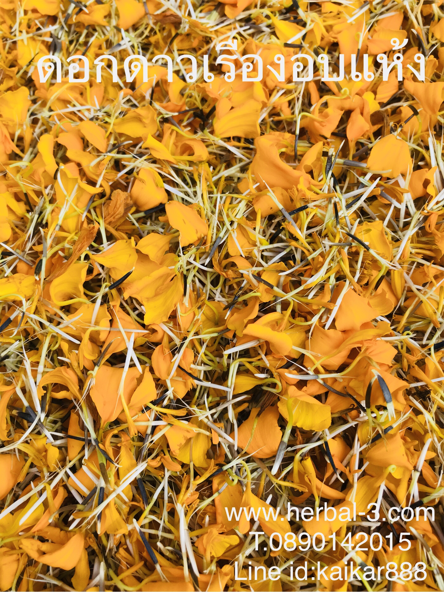 ชาดอกดาวเรือง (กลีบ+เกสร)