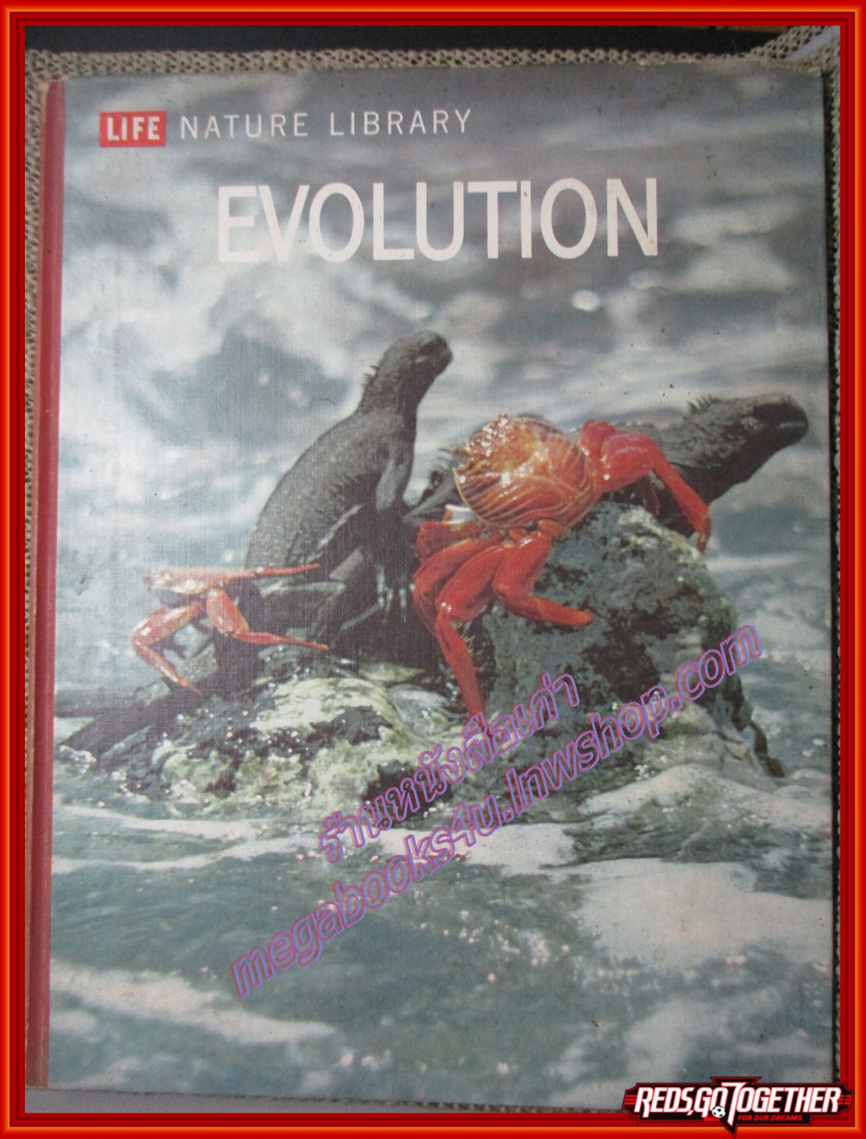 หนังสือ EVOLUTION LIFE NATURE LIBRARY (ภาษาอังกฤษ) ตำหนิ ขอบปกแหว่งนิด