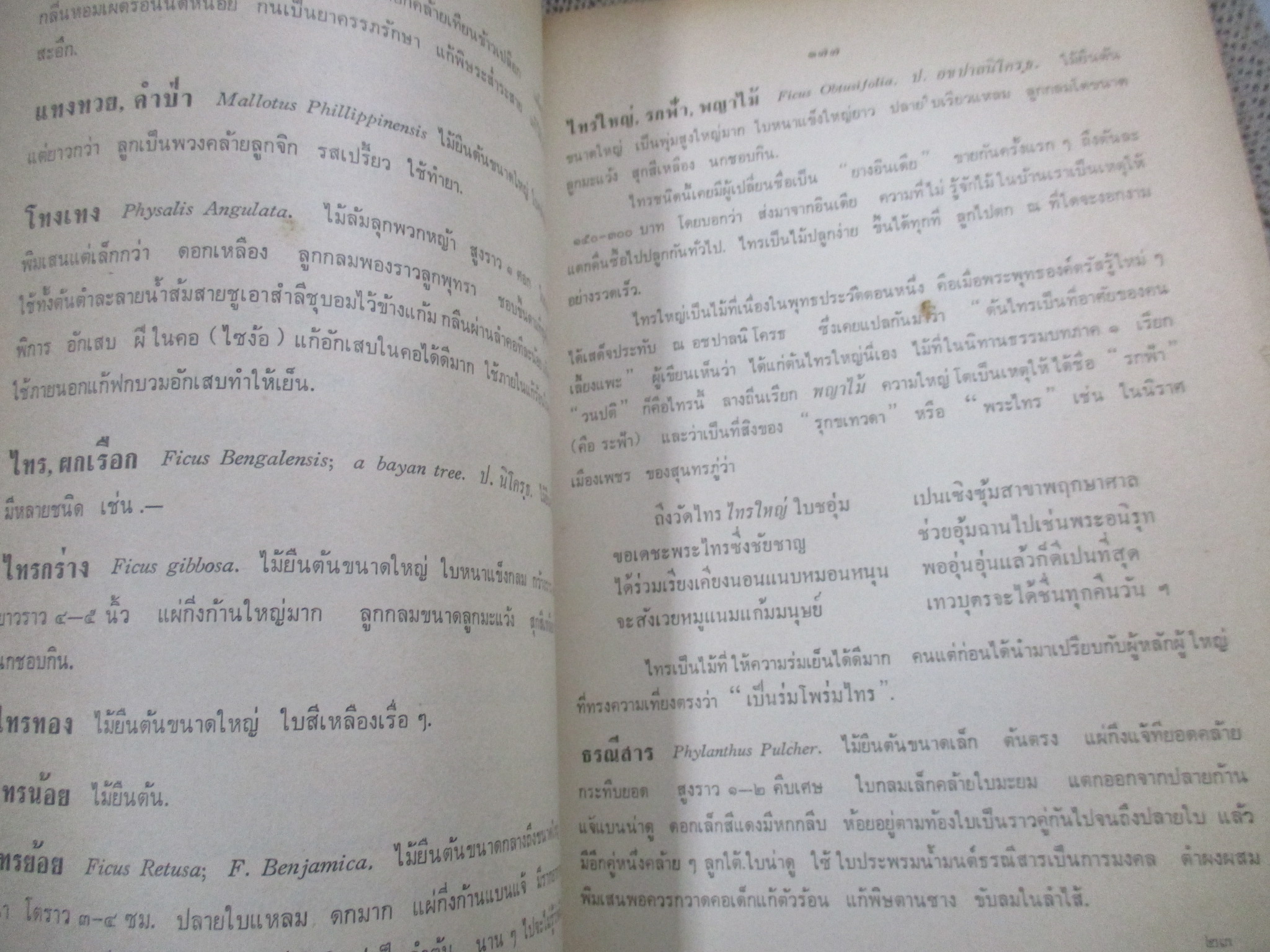 ดงไม้ ผู้เขียน บุญธรรม เอี่ยมสมบูรณ์ เป็นหนังสือที่พรรณนาความตามหลักพฤกษศาสตร์ วิชาการว่าด้วยต้นไม้นานาชนิด รวบรวมไม้พันธุ์ ไม้ต่างๆไว้มากมาย