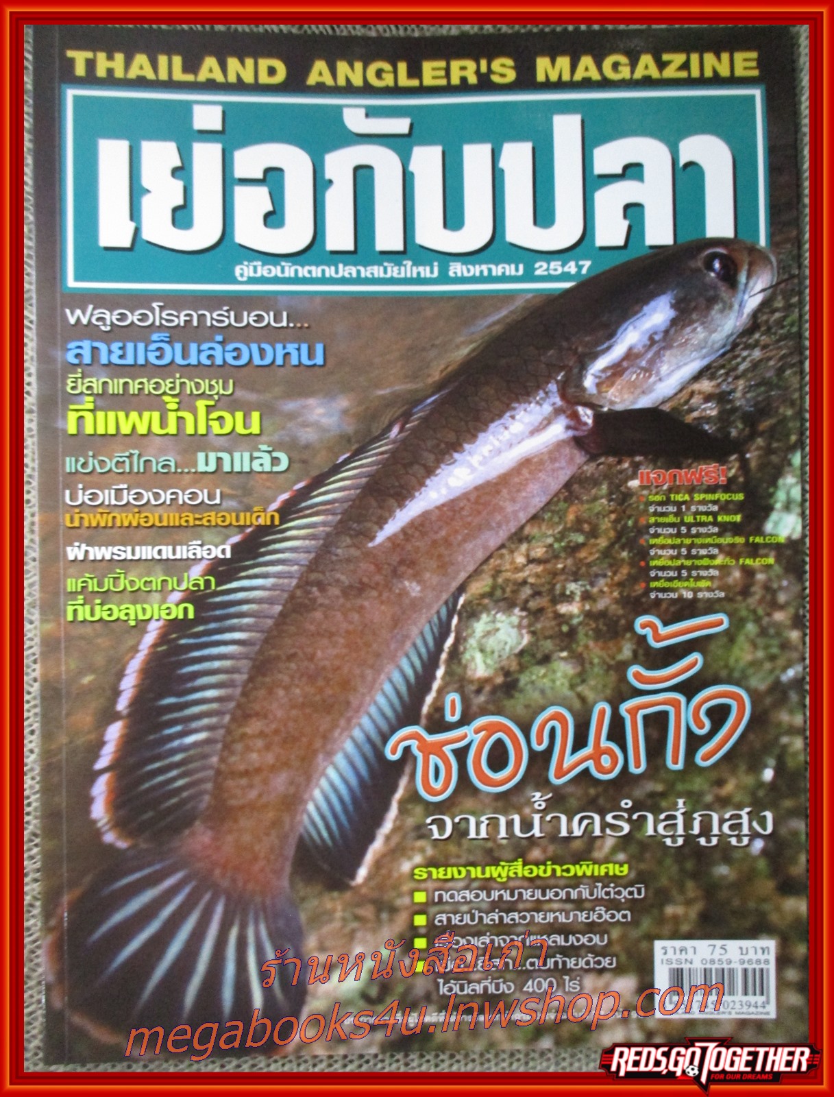 นิตยสาร เย่อกับปลา ฉบับที่079 ปี2547 ปก ช่อนกั้ง จากน้ำครำสู่ภูสูง