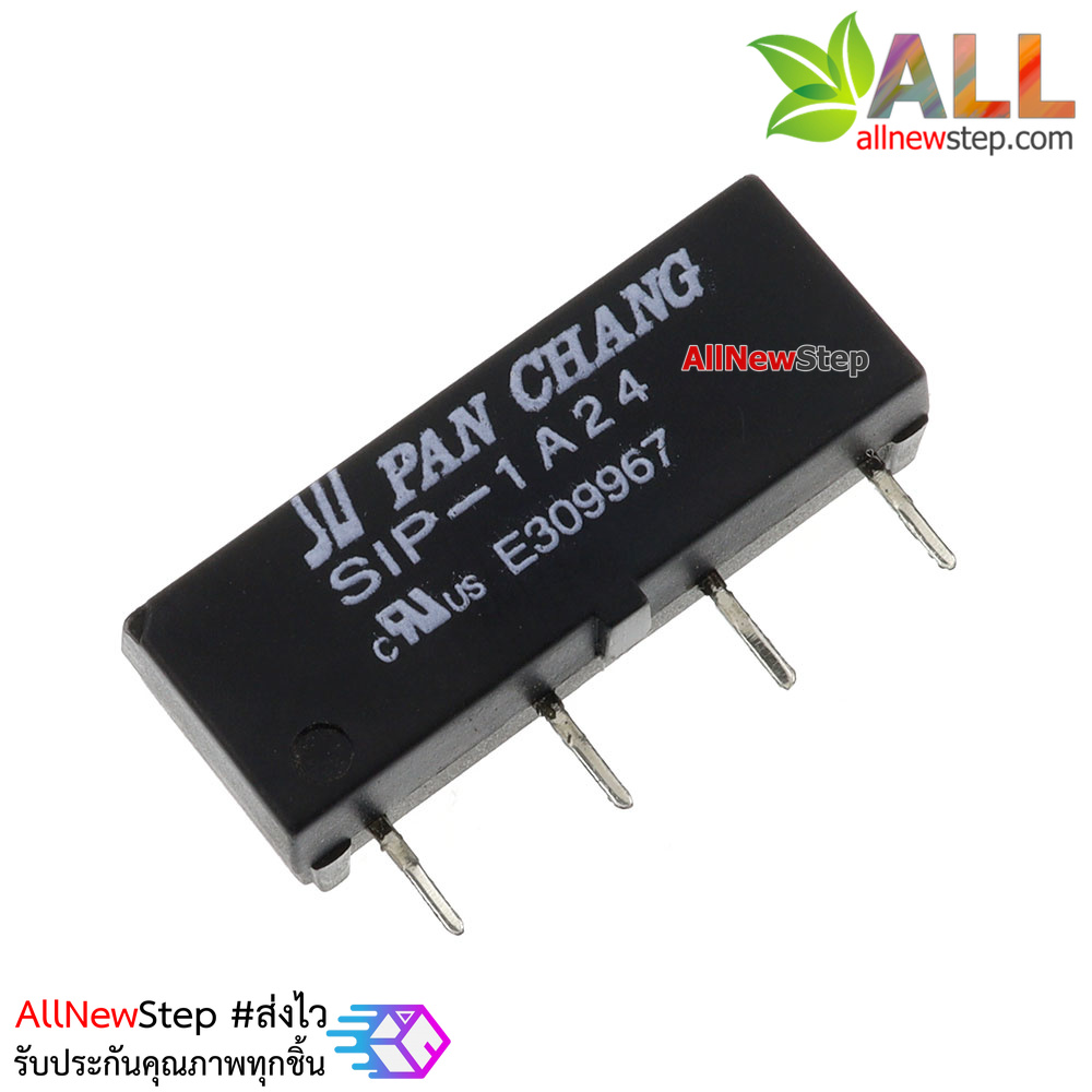 Relay Reed Switch 24V 1A