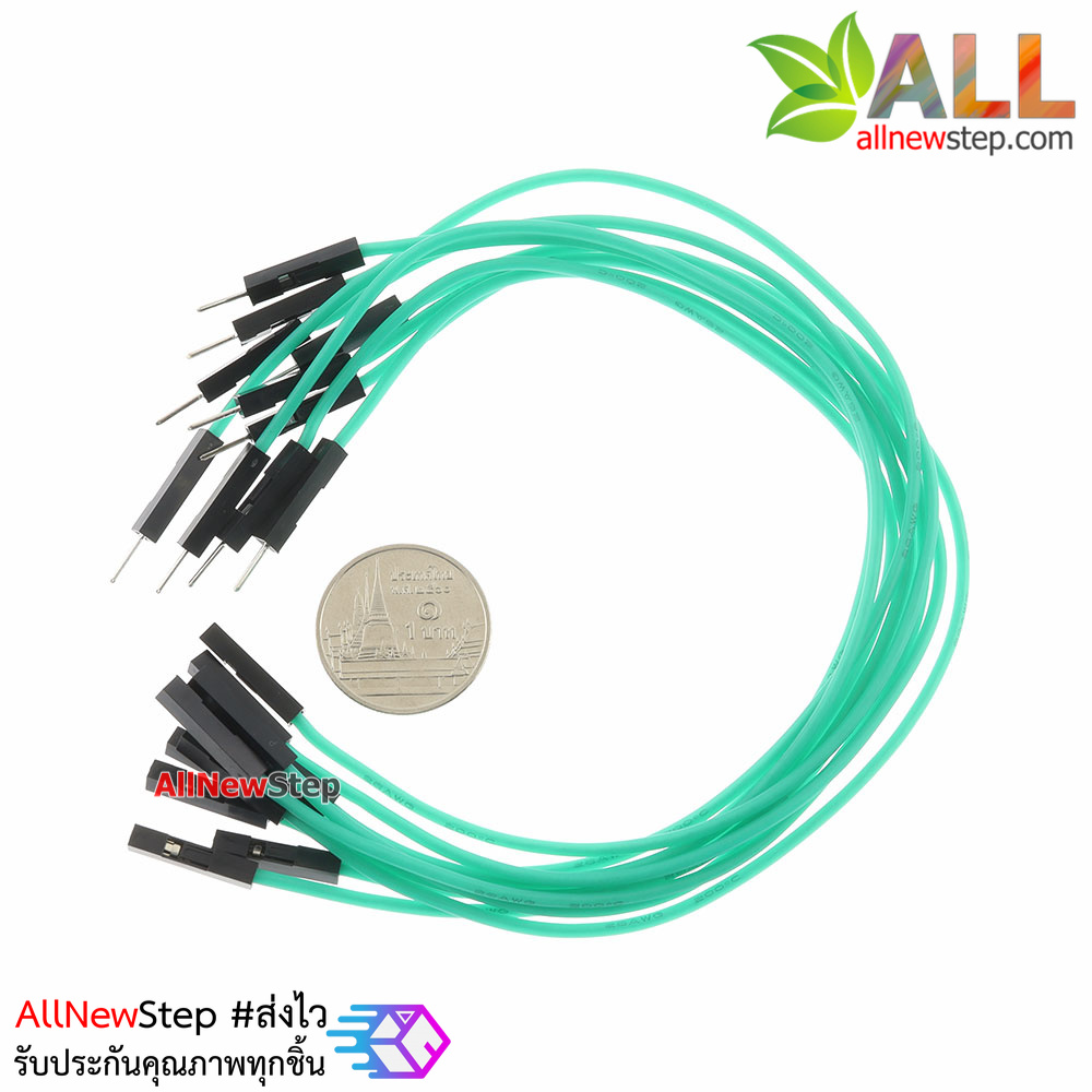 สายไฟจัมเปอร์ 20cm สาย jumper 20 cm จำนวน 10 เส้น ผู้-เมีย สีเขียว